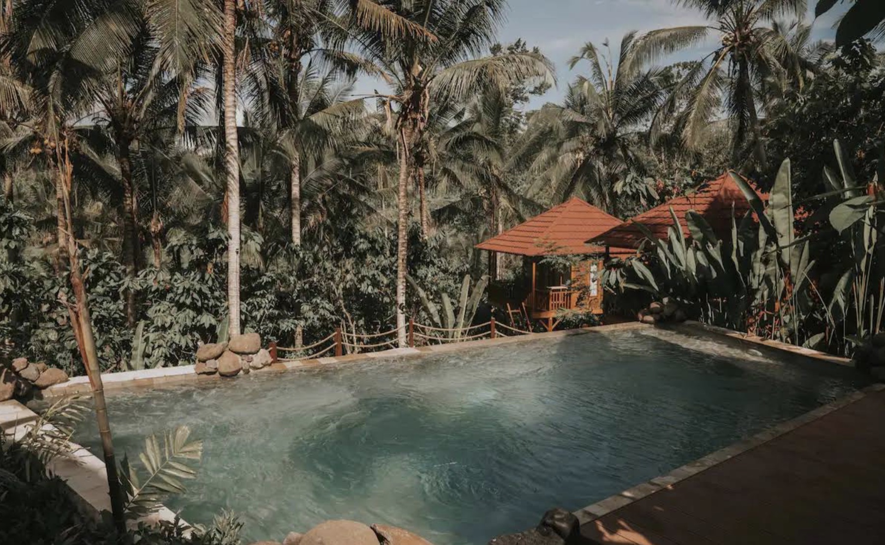 Pool surrounded by tropical forest at Kus-Farm