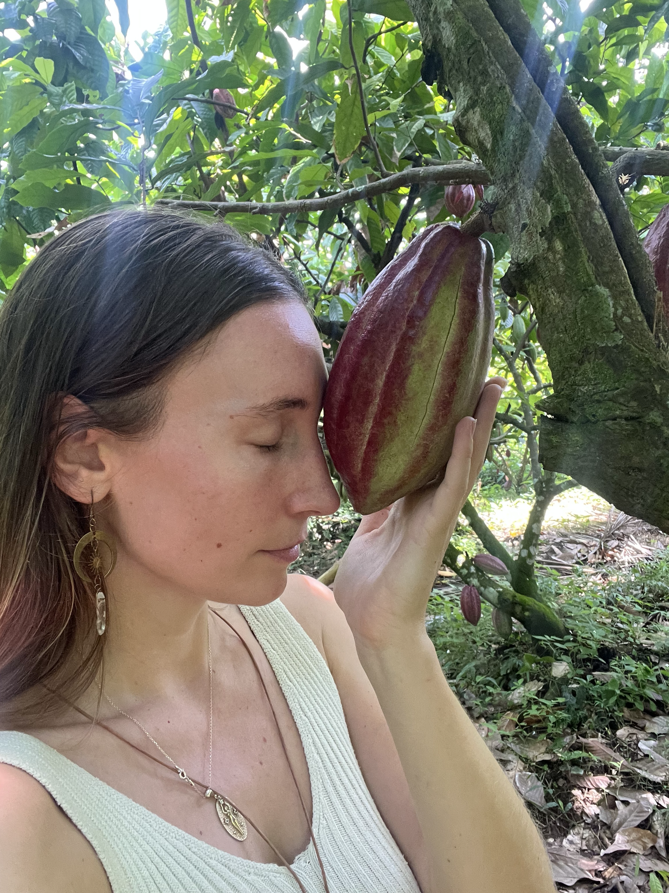 A participant pausing in connection with a cacao tree